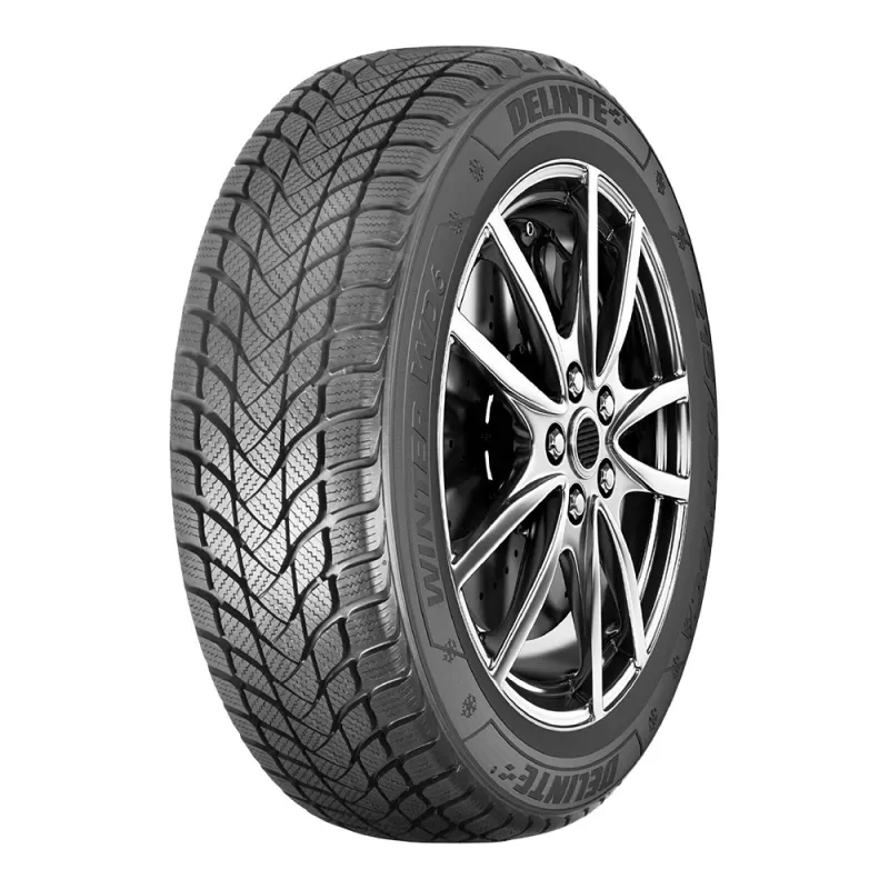 Delinte Winter WD6